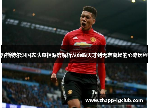 舒斯特尔退国家队真相深度解析从巅峰天才到无奈离场的心路历程