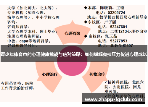 青少年体育中的心理健康挑战与应对策略：如何缓解竞技压力促进心理成长
